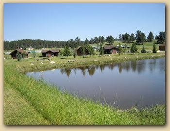 Gold Camp Cabins Кастер Екстер'єр фото