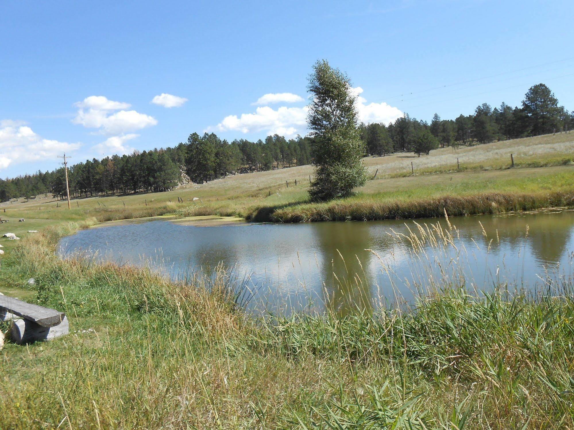 Gold Camp Cabins Кастер Екстер'єр фото